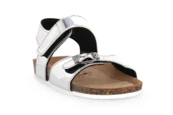 BIOCHIC ARGENTO SPECCHIO