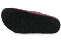 BIONATURA THESIS MAGENTA