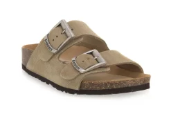 BIONATURA THESIS TAUPE