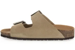 BIONATURA THESIS TAUPE