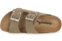 BIONATURA THESIS TAUPE