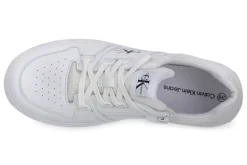 CALVIN KLEIN 5100 BOLD VULC
