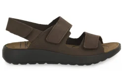 IGI & CO PALMER MORO