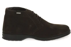 IGI & CO TRAIL CAFFE GTX