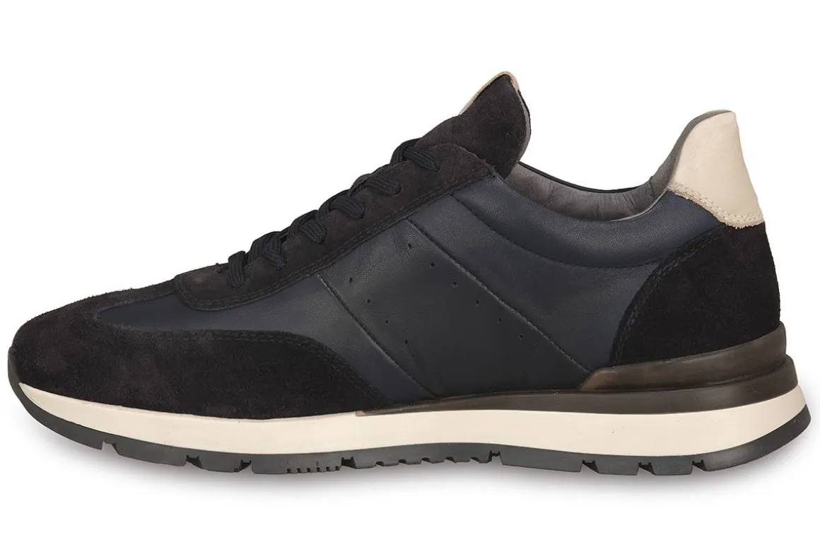 NERO GIARDINI 200 AROLD BLU
