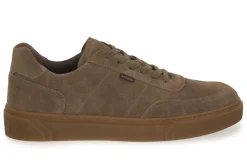 NERO GIARDINI 311 AROLD FANGO