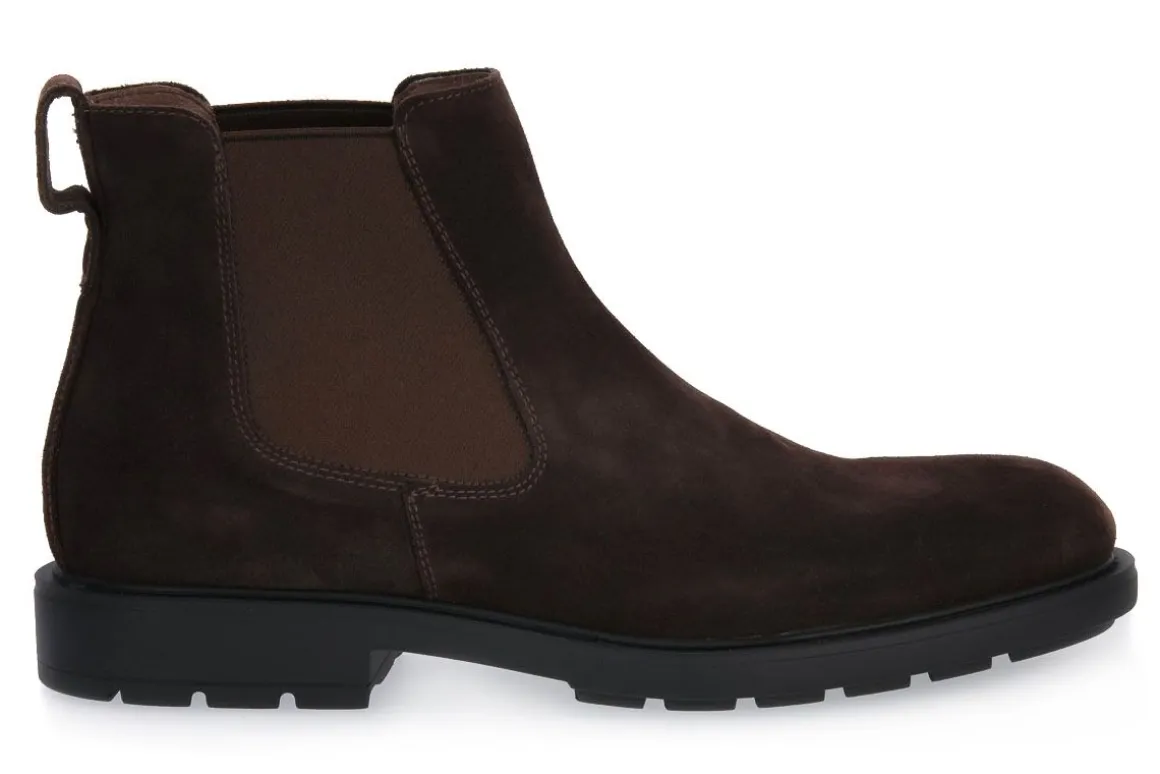 NERO GIARDINI 300 COLORADO MORO