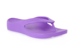 PETER LEGWOOD VIOLA SHARK