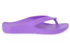 PETER LEGWOOD VIOLA SHARK