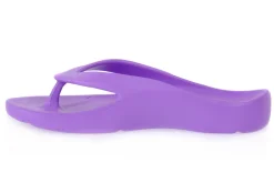 PETER LEGWOOD VIOLA SHARK