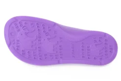 PETER LEGWOOD VIOLA SHARK