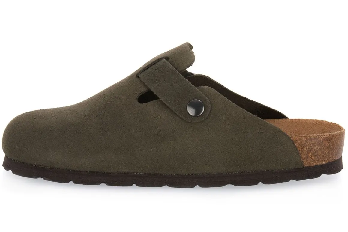 ROHDE OLIVE ALBA G