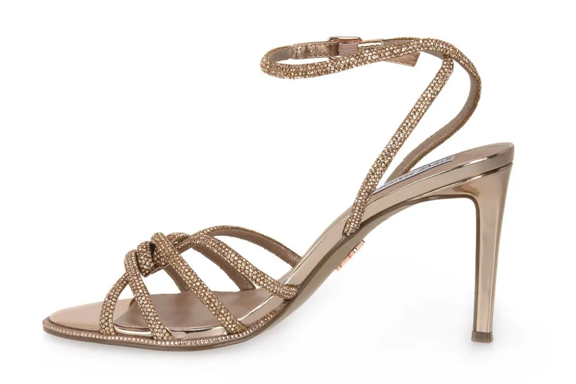 STEVE ROSE MADDEN KAILYN
