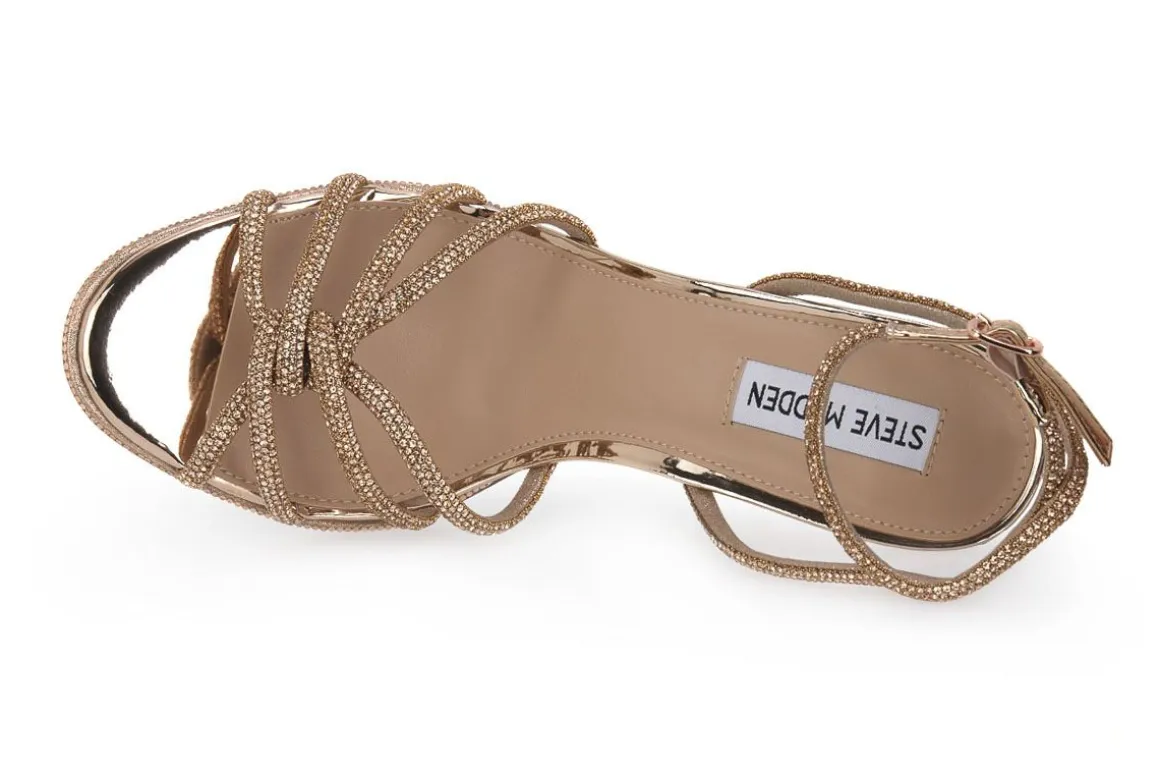 STEVE ROSE MADDEN KAILYN