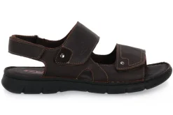 ZEN MARTY TAUPE