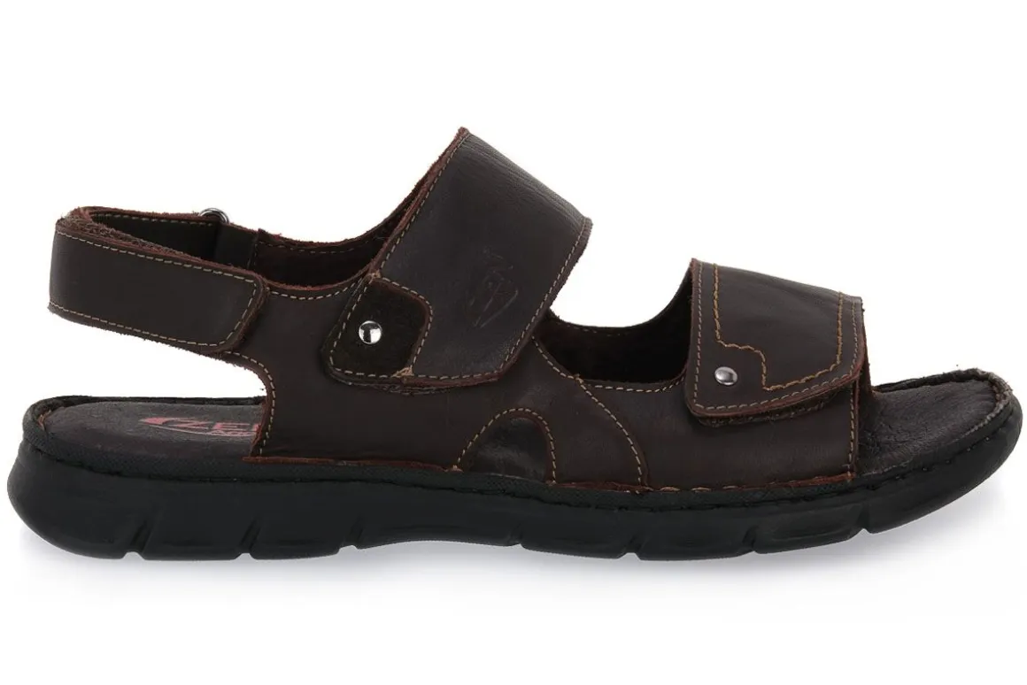 ZEN MARTY TAUPE