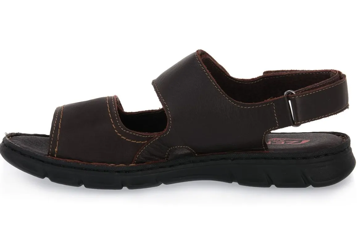 ZEN MARTY TAUPE